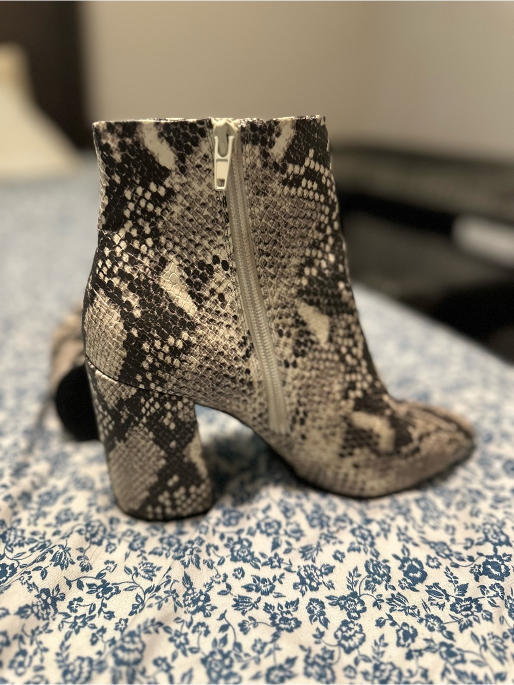 STEVE MADDEN!!! Snake-Print Block Heel Ankle Boots - Black/Gray